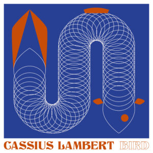 Stilistic Eel. Album art. Cassius Lamberts single called Bird.